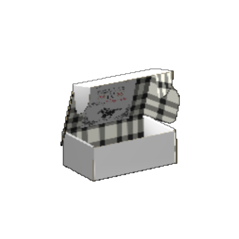 Ear Lock Mailer E-Flute White/Premium White 2-Sided Luxe Print Matte