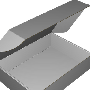 Ear Lock Mailer E-Flute White/White Outside Standard Print
