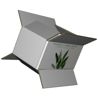 Regular Slotted Carton B-Flute White/White Outside Standard Print