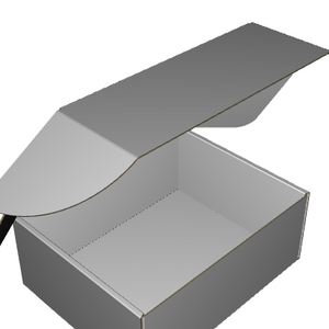 Ear Lock Mailer E-Flute White/White Outside Standard Print